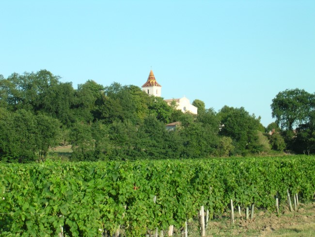 Chateau La Roseraie Degustation Vin Cotes De Blaye Bordeaux Img 30
